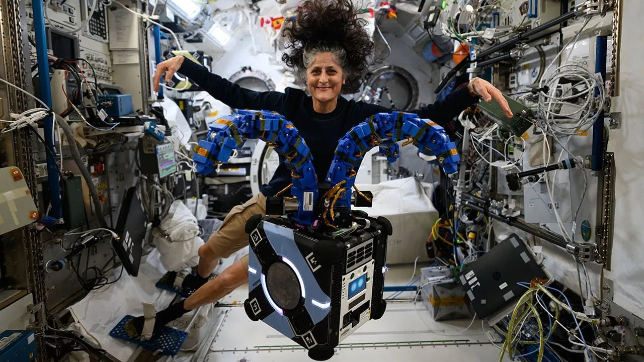 Startup desenvolve 'polvo espacial' que promete rebocar satélites e retirar lixo da órbita da Terra
